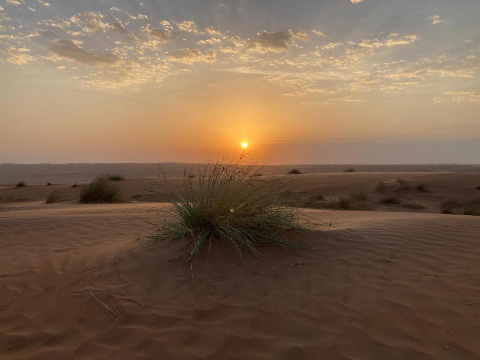 Desert Moments Camp Al Wāşil Zewnętrze zdjęcie
